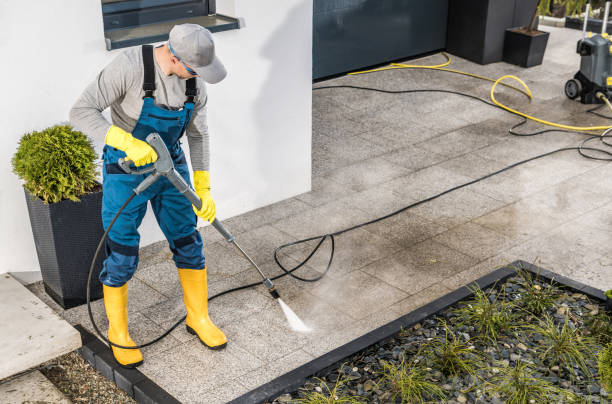 Best Roof Pressure Washing  in Fort Dodge, IA